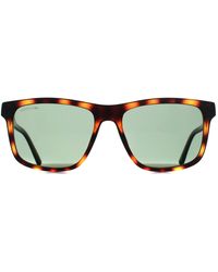 Lacoste - Square Tortoise L6025S - Lyst