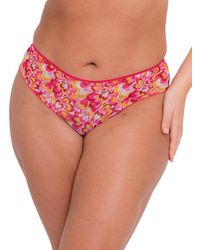Curvy Kate - Lifestyle Short - Lyst