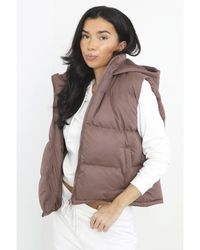 Brave Soul - Brown 'mila' Cropped Hooded Padded Gilet - Lyst