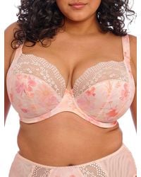 Elomi - Lucie Plunge Bra - Lyst