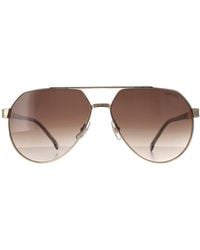 Carrera - 1067/S 2F7 Ha Grau Braun Farbverlauf Sonnenbrille - Lyst