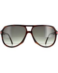 Carrera - Aviator Havana Gradient 1045/S - Lyst