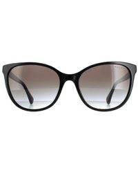 Ralph Lauren - By Cat Eye Shiny Gradient Sunglasses - Lyst