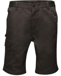 Regatta - Pro Cargo Shorts (zwart) - Lyst