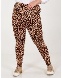 Blue Vanilla - Curve Leopard Print Leggings - Lyst
