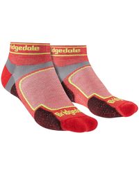 Bridgedale - Running Ultralight Sport Low Socks - Lyst