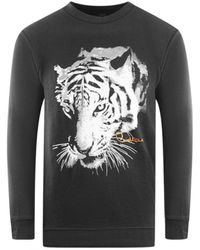 Class Roberto Cavalli - Tiger Silhouette Logo Sweatshirt - Lyst