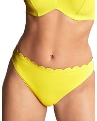 Panache - Spirit Classic Bikini Brief - Lyst