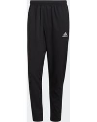 adidas Originals - Entrada 22 Presentation Pants - Lyst