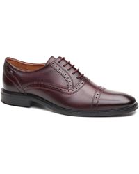 Base London - Ascot Oxford Leather Bordo Shoes - Lyst