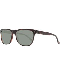 Hackett - Bespoke Sunglasses Hsb849 143 55 - Lyst