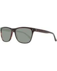 Hackett - Bespoke Sunglasses Hsb849 143 55 - Lyst