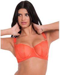 Curvy Kate - Lace Balconette Bra - Lyst