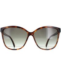 Ted Baker - Sunglasses Tb1400 Kiara 122 Tortoiseshell Gradient - Lyst