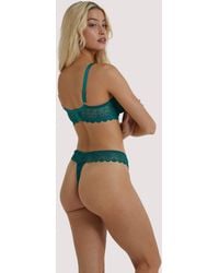 Wolf & Whistle - Ariana Everyday Lace Thong Cotton - Lyst