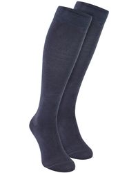 Sock Snob - Knee High Bamboo Socks - Lyst