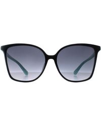 Kate Spade - Brigitte/F/S 807 9O Dunkelgrau Verlauf Sonnenbrille - Lyst