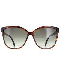 Ted Baker - Sunglasses Tb1400 Kiara 122 Tortoiseshell Gradient - Lyst