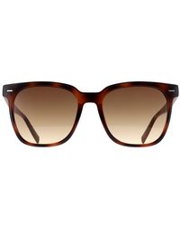 Calvin Klein - Square Havana Gradient Ck20519Sn - Lyst