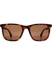 Ted Baker - Square Gloss Dark Tortoise Tb1724 Jacobe - Lyst