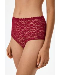 Penti - Easy Lace Floral High Waist Slip Briefs - Lyst