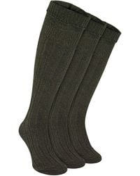 Sock Snob - 3 Pack Wool Kilt Socks - Lyst