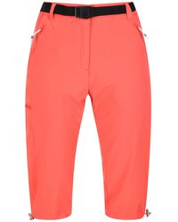 Regatta - Ladies Xert Stretch Casual Shorts (Neon) - Lyst