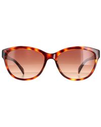 Ted Baker - Cat Eye Havana Gradient Tb1605 Amie Sunglasses - Lyst
