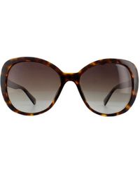 Polaroid - Square Dark Havana Polarized Sunglasses - Lyst