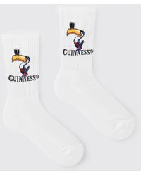 BoohooMAN - Guinness Toucan License Socks - Lyst