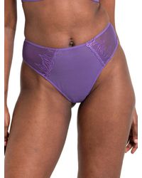 Curvy Kate - Flare Deep Thong - Lyst
