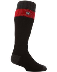 Heat Holders - Extra Long 2.3 Tog Thermal Knee High Ski Socks - Lyst