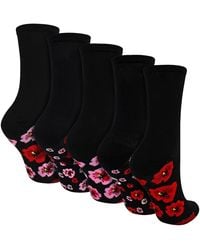 Sock Snob - 5 Pairs Ladies Poppy Footbed Socks - Lyst