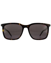 BOSS - Hugo Boss By Square Havana Sunglasses - Lyst