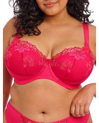 Elomi - Teagan Half Cup Bra - Lyst