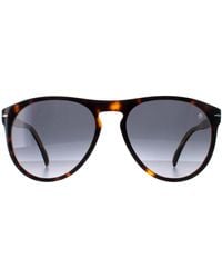 David Beckham - Round Dark Tortoise Gradient Db1008/S - Lyst
