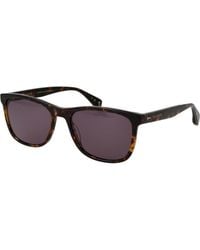 Ted Baker - Tb1779 57119 57 119 Sunglasses - Lyst