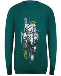 Roberto Cavalli - Splintered Tiger Graphic Ottanio Sweatshirt Cotton - Lyst