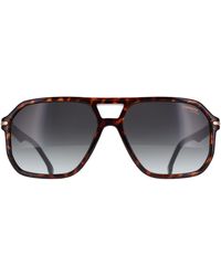 Carrera - Aviator Havana Gradient 302/S - Lyst
