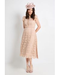 Wallis - Lace Fit And Flare Midi Dress - Lyst
