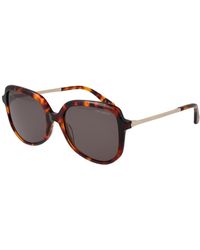 Ted Baker - Brown Acetate Sunglasses - Lyst