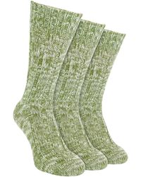 Sock Snob - 3 Pack Warm 100% Wool Ribbed Socks With Reinforced Heel And Toe - Lyst