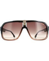 Carrera - Aviator Mannen Zwart Bruin Bruin Gradient 1014/s - Lyst