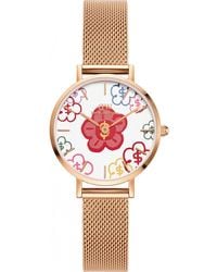 Daniel Wellington - Dw00100722 Ladies Classic Revival 26Mm Watch - Lyst