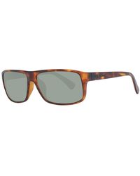 Serengeti - Sunglasses - Lyst