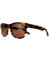 Serengeti - Square Shiny Tortoise Havana Mineral Polarized 555Nm Foyt Large - Lyst