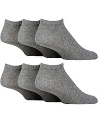 SOCKSHOP TORE - 6 Pack Plain Sports Trainer Socks - Lyst