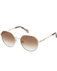Tous - Sto454-550F47 Sto454 55 550F47 Sunglasses - Lyst