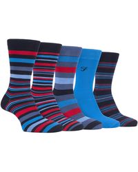 Farah - 5 Pack Natural Organic Bamboo Bright Striped Patterned Socks - Lyst
