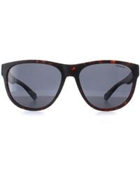 Polaroid - Round Matte Havana Polarized Pld 2156/S - Lyst